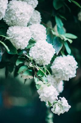 暗河传电视剧免费观看全集高清