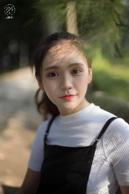 影视版权申请流程及费用